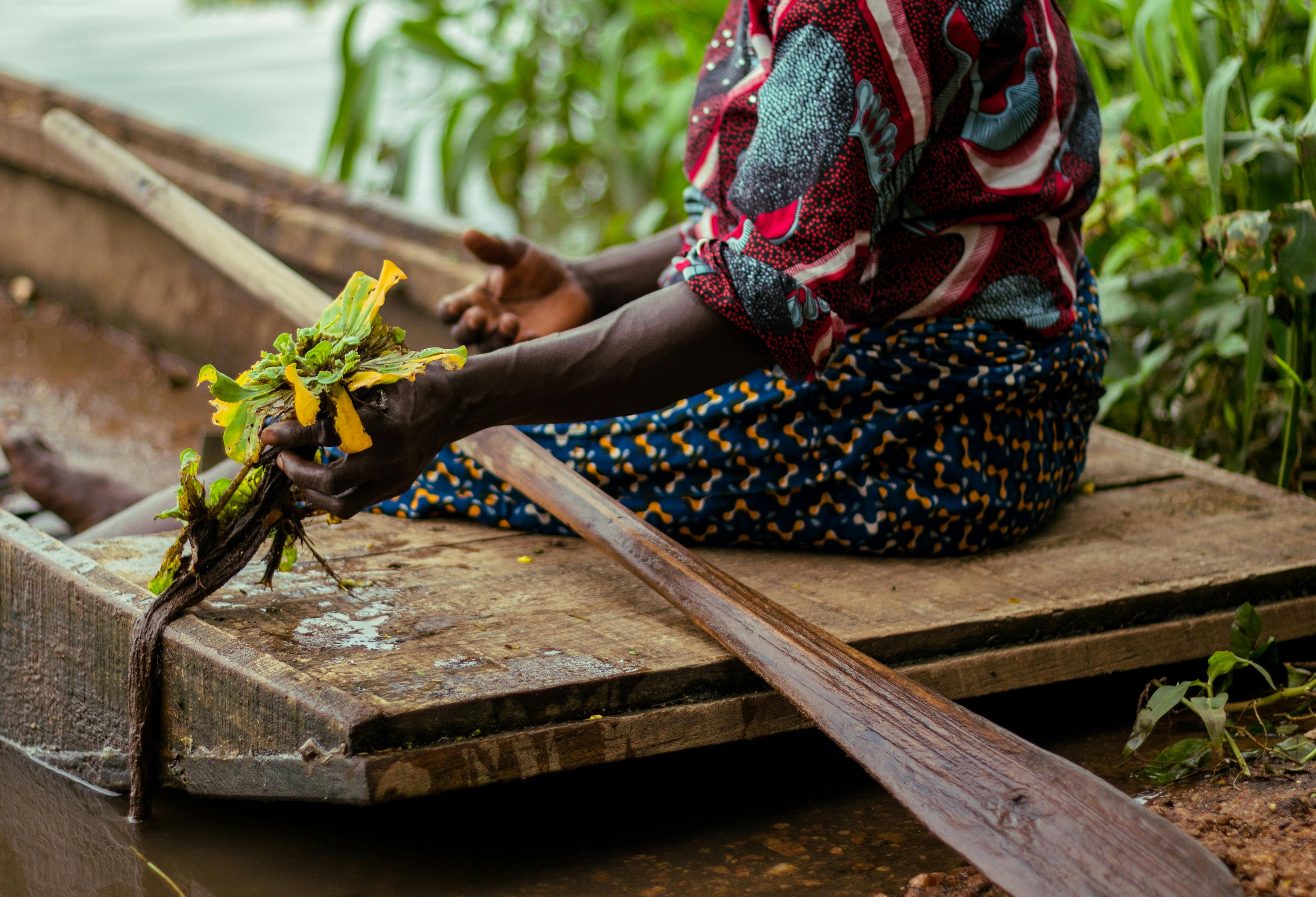 𝐓𝐨𝐩 𝟏𝟓 𝐀𝐠𝐫𝐢𝐜𝐮𝐥𝐭𝐮𝐫𝐞 𝐈𝐧𝐯𝐞𝐬𝐭𝐨𝐫𝐬 𝐢𝐧 𝐀𝐟𝐫𝐢𝐜𝐚 (2025)