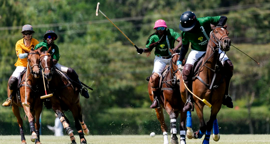 𝐏𝐨𝐥𝐨 𝐢𝐧 𝐀𝐟𝐫𝐢𝐜𝐚: The Rise of the Sport of Kings on the Continent