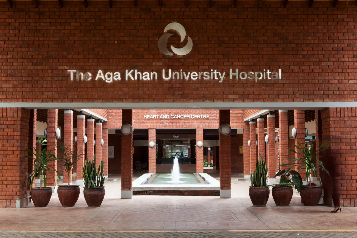 𝐓𝐨𝐩 𝟏𝟎 𝐀𝐟𝐫𝐢𝐜𝐚𝐧 𝐇𝐨𝐬𝐩𝐢𝐭𝐚𝐥 𝐑𝐚𝐧𝐤𝐢𝐧𝐠𝐬: Best Healthcare System